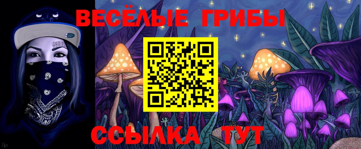Псилоцибиновые грибы мухоморы Ртищево