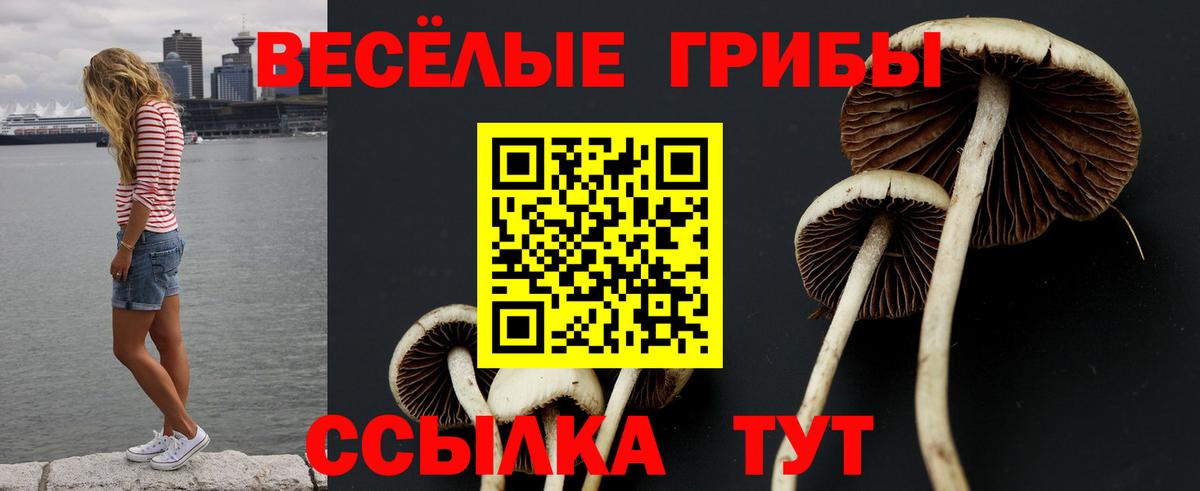 Галлюциногенные грибы ЛСД  Вход с VPN  Ртищево  как найти наркотики  Псилоцибиновые грибы MAGIC MUSHROOMS 